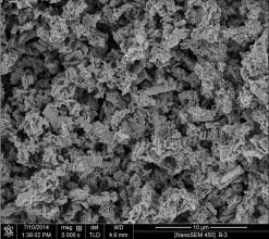 Zeolit ​​Nano ZSM-5 Dengan Ukuran Partikel 50 ~ 100nm Untuk Katalis / Penyerap