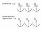 Pengecatan Kuat Pseudoboehmite Binder Untuk Katalis Catalyst FCC / Hidrogenasi