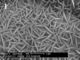 Silikon Na Y Zeolit ​​Alkali Aluminium Dalam Butiran Untuk Pengeringan Glikol Propylene